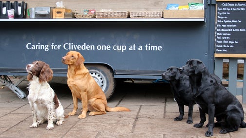 Dogs at the Woodlands Lounge at Cliveden, Buckinghamshire.